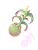 Unripe Yggdrasil Seed