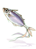 Saurel
