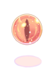 New Super Pet Egg 2