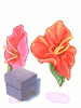Hibiscus Box