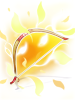 Narcissus Bow [2]