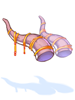 Ancient Horns [1]