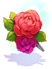 Lush Rose [1]