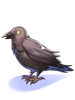 Gossip Raven