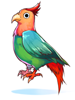Happy Parrot