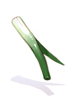 Poring Village Green Onion