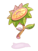 [Costume ] Decorative geograph for