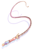 Queen Whip