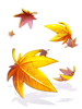 Costume Falling Leaves