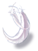 Mystical Feathers