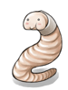 Soft-looking worm