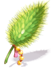Model of an Exquisite Green Foxtail [1]