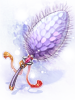 Royal Foxtail [2]
