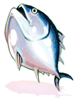 Amulet of Fresh Tuna [1]