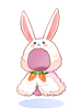 Costume BOX BOX rabbit cape