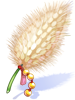 White Knight's Foxtail [1]