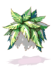 Samambaia [1]