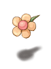 Centimental Flower