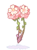 Persica [1]