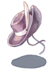 New Cowboy Hat