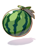 Storage watermelon