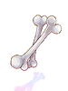 Skeleton Bone