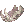  Jawbone of bat
