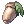 Unripe Acorn