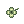Lucky Clover