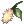 Dried Leaf