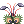 Drosera Hairpin
