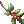 Sprig of Holly