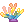 Colorful coral