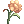 Wart flower
