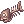 Decayed deep sea fish
