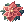 Pinguicula Corsage [1]