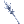 Dim Glacier Spear [1]