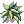 Samambaia [1]