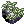 Dew-Laden Moss