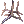 Hedgehog Spines