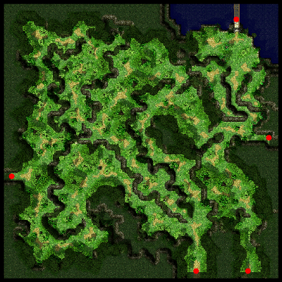 Payon Forest