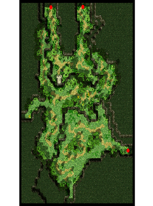 Payon Forest