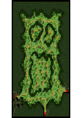 Payon Forest