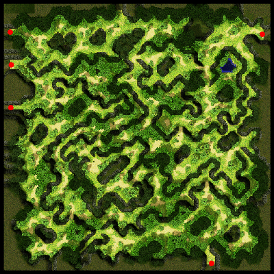 Prontera Field
