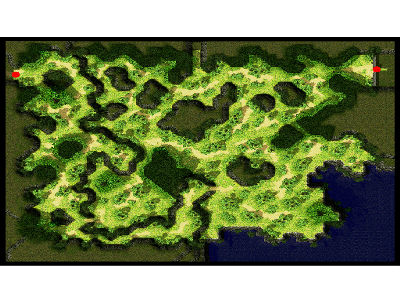 Prontera Field
