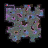 Starry Coral Area