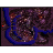 Nifflheim, Realm of the Dead