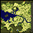 Prontera Field