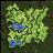 Luluka Forest