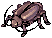 Moks Bugs